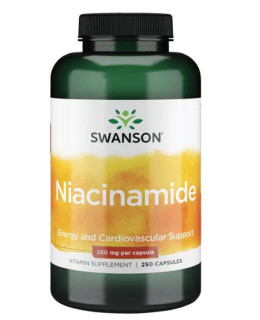 Swanson Niacinamide, 250 mg, 250 kapslí