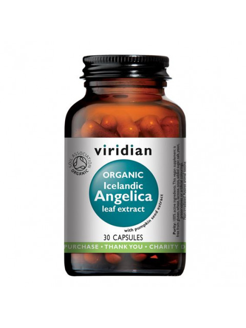 Viridian Icelandic Angelica (Andělika lékařská Bio) Organic, 30 kapslí