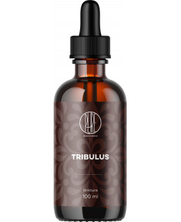 BrainMax Pure Tribulus, Kotvičník zemní, tinktura 1:3, 100 ml